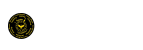 logo icon